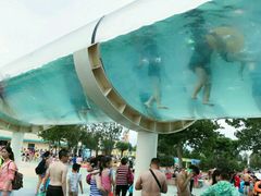 -秦皇岛乐岛海洋王国