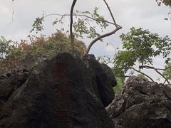 -灵隐飞来峰景区