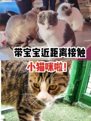 -萌宠亲子动物乐园(槐房万达店)