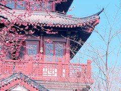 -堤角公园