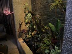 -泰适SPA馆丨精油·按摩·足道(后海地铁口店)