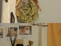 -平行世界·猫咖(首经贸店)