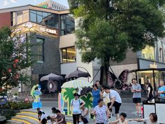 -铁像寺水街