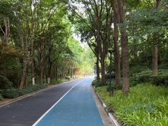 -上海吴淞炮台湾国家湿地公园