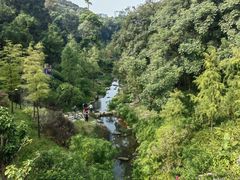 -云溪植物园