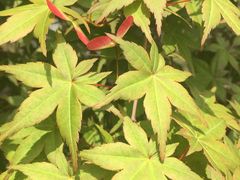 -白塘生态植物园