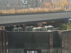 -赵小姐丨新中餐(曲江店)