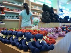 -济州岛泰迪熊博物馆