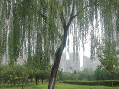 -咸阳湖景区