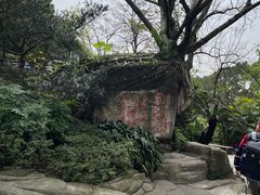 -鹅岭公园瞰胜楼