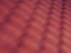 -天河体育中心篮球城