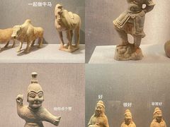 -洛阳博物馆