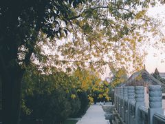 -大雁塔文化休闲景区-北广场