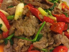 -曾牛肉