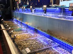 水产区-必点海鲜·鲅鱼水饺(鞍山西道店)