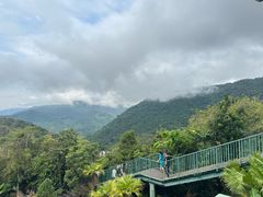 -呀诺达热带雨林