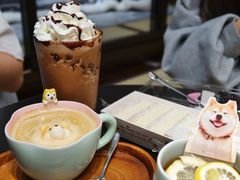 -逗柴咖啡屋·狗咖猫咖宠物桌游