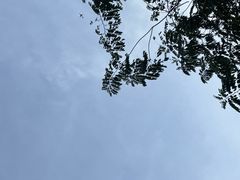 -白石龙音乐公园