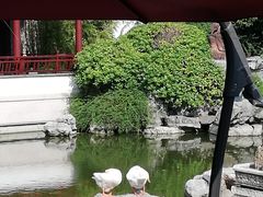 -祝家花園(伯渎港店)