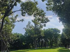 -白鹭湾湿地公园