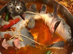 黔南红汤酸汤鱼-苗家大院酸汤鱼(贵阳北站店)