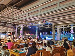 -渔家火锅·海鲜自助餐·演艺(亚龙湾天域酒店)