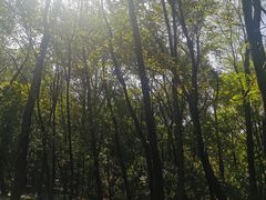 -廊坊市自然公园