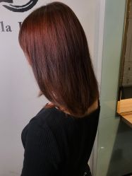 -东方麒麟·潘多拉SALON