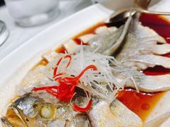 -迦南苑·新派青岛菜·生日纪念日主题餐厅