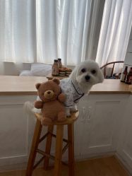 -专注孕妇照亲子照·纪田摄影