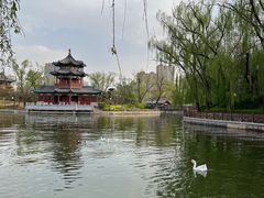 -迎泽公园
