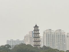 -江心屿景区