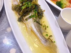 -老绍兴养和饭店(向阳不夜城店)