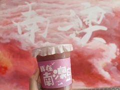 -南澳岛打卡果汁冰公司