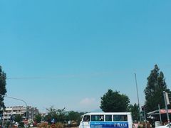 -费特希耶滑翔伞