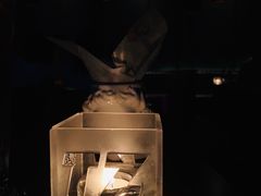 -TZ House音乐现场(茅台店)
