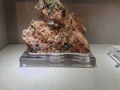 -陕西自然博物馆