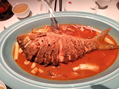 -阿五黄河大鲤鱼(英协路店)
