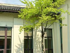 -宁波柏悦酒店·钱湖渔港