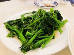 芥蓝幼苗-权记避风塘(鸿记店)