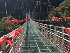 -九龙江国家森林公园