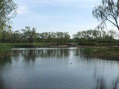 -大兴滨河森林公园