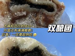 双酿团-沈大成(南京东路店)