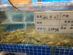 水产区-海鲜城大家餐厅