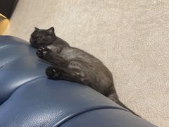 -宠颐生·恒爱宠物医院(静海店)