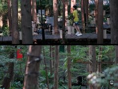 -东明山森林公园