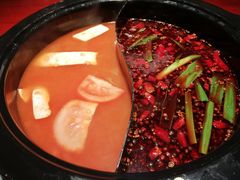 番茄鸳鸯锅-蜀滋香鲜鱼火锅(黄金路店)