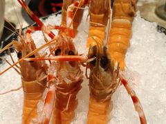 -阳光岛·海鲜盛宴(银泰中心in99店)