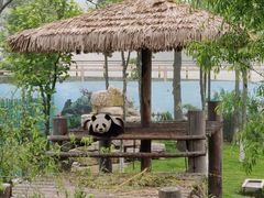 -西霞口神雕山野生动物世界