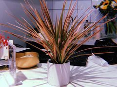 -植物学家的女儿(北马道巷店)